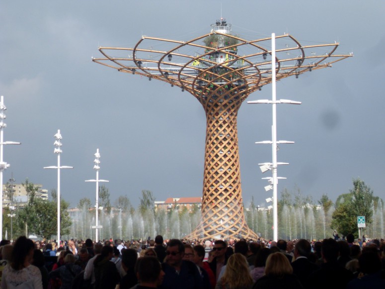 Albero della vita, Expo