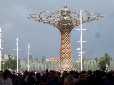 Albero della vita, Expo